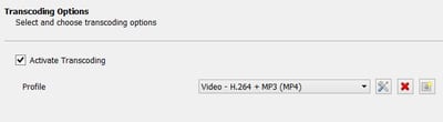 File Container and Format Selection Transcoding Options