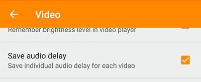 Saving Audio Delay for Individual Video Save Audio Delay