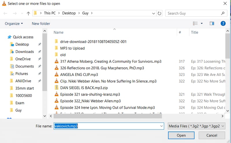 Opening Files in VLC Playlist Browse Media Files